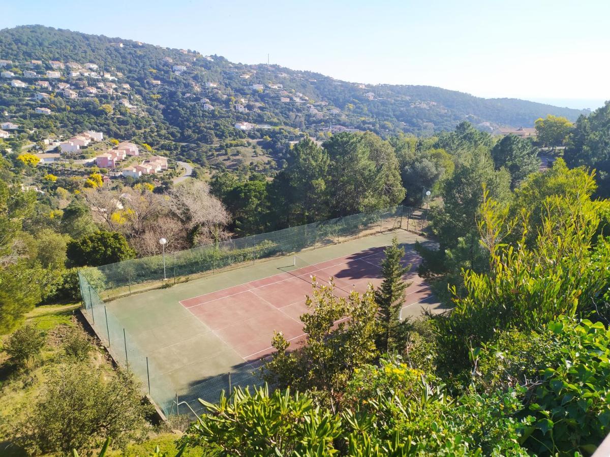 Vacance Location Mer Piscine Var Sud Terrasse Les Issambres Exteriör bild